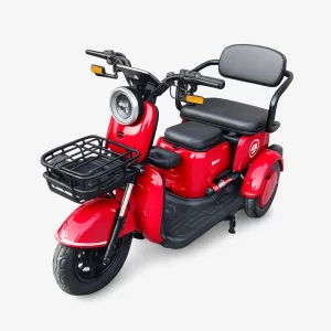 Moto eléctrica